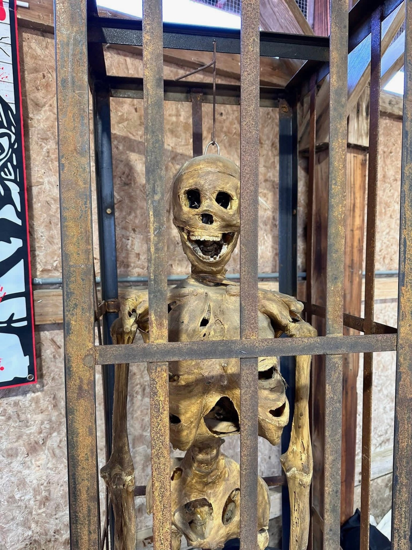 Caged mummified skeleton in rusted iron cage